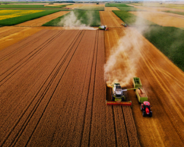 AGRICOLTURA